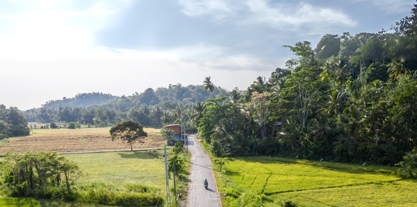 Road in Sri Lanka