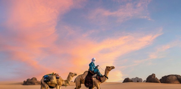 Camel Ride in Dubai