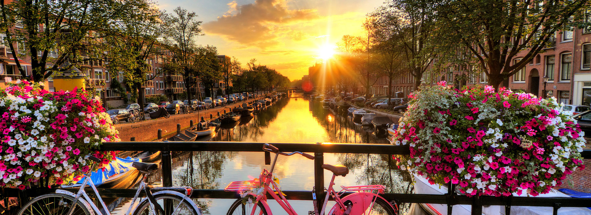 APT016 Promo Banner0